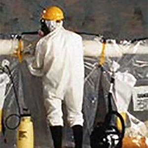 Asbestos Glove Bag - Grayling Extended Run - 44 x 60