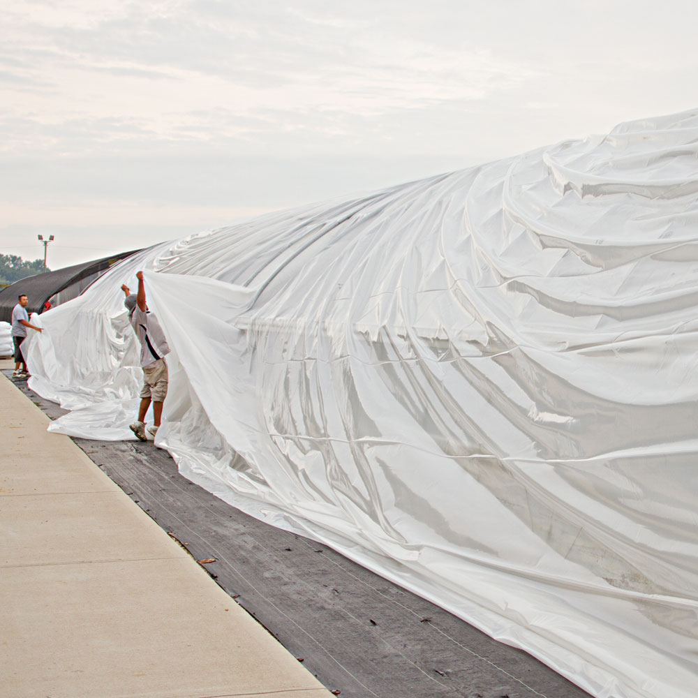 Greenhouse Plastic Sheeting - 6 Mil UVA Inhibitor - 20' x 50' - Click Image to Close