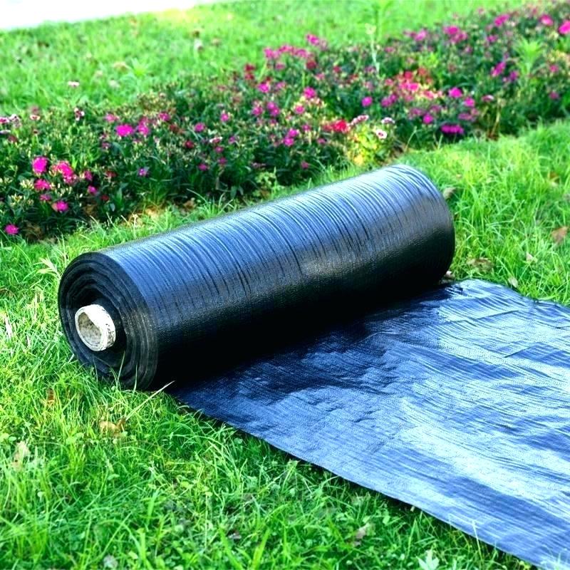 Plastic Weed Barrier Visqueen Projects, Heavy Duty Landscape Fabric 4 X 10mm